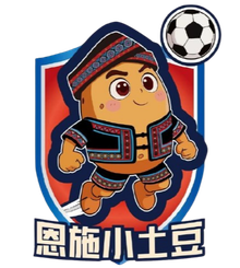 Logo Enshi Team