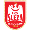 Logo Sleza Wroclaw Women